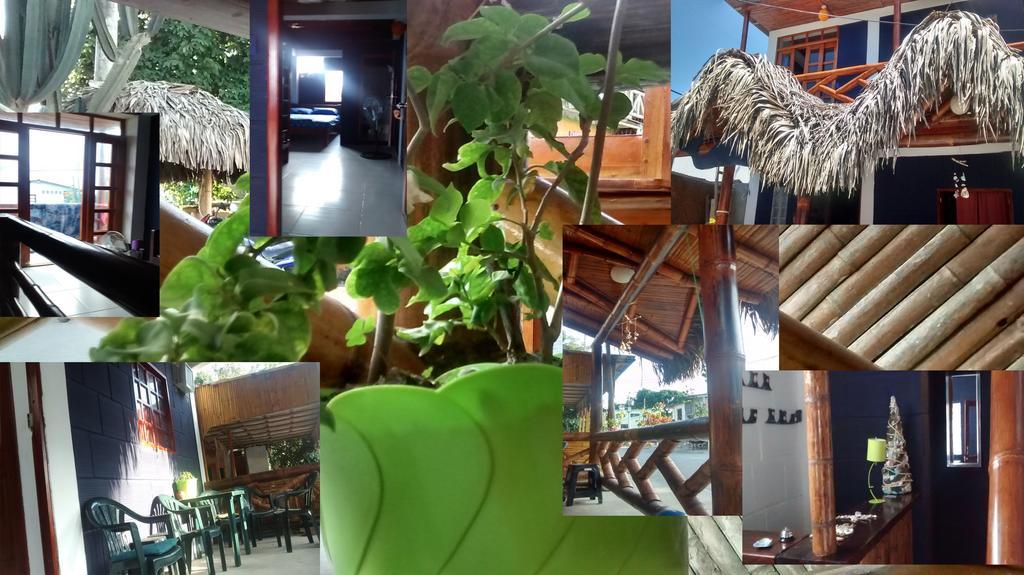 Hostel El Gran Azul Olon Room photo